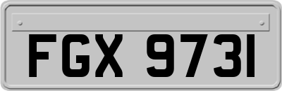 FGX9731