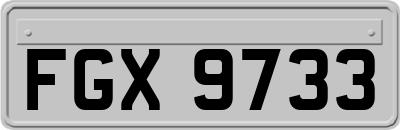FGX9733