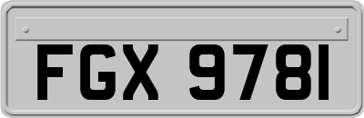 FGX9781