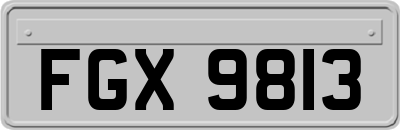 FGX9813