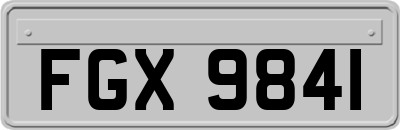FGX9841
