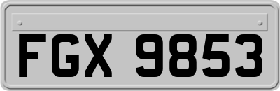 FGX9853
