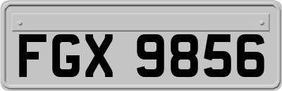 FGX9856