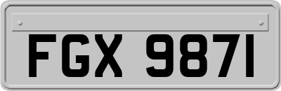 FGX9871