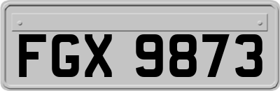 FGX9873