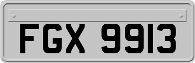 FGX9913