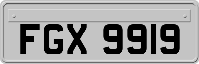 FGX9919