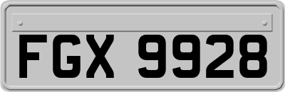 FGX9928