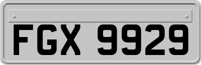 FGX9929