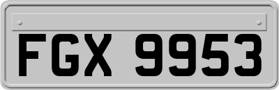 FGX9953