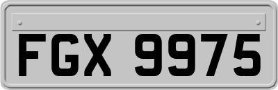FGX9975