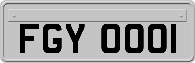 FGY0001