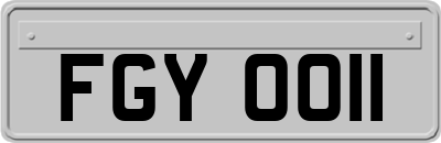 FGY0011