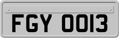FGY0013