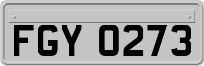 FGY0273