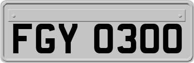 FGY0300