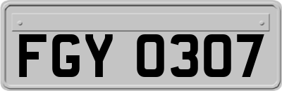 FGY0307