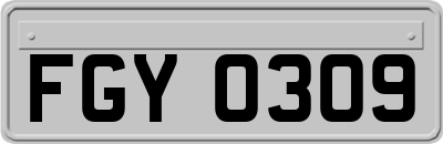 FGY0309