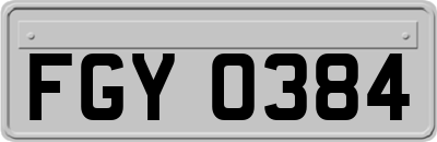 FGY0384