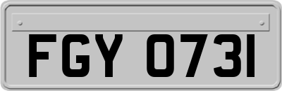 FGY0731