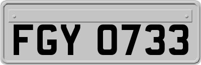 FGY0733