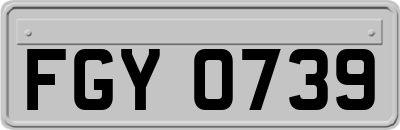 FGY0739