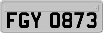 FGY0873