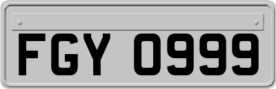FGY0999