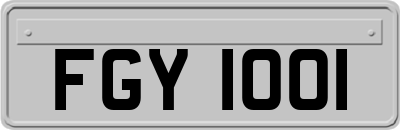 FGY1001