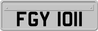 FGY1011