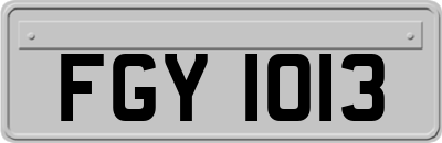 FGY1013