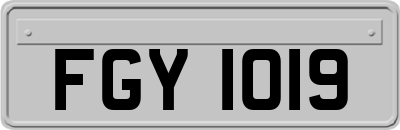 FGY1019