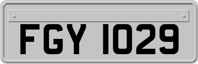 FGY1029