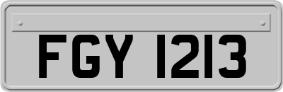 FGY1213
