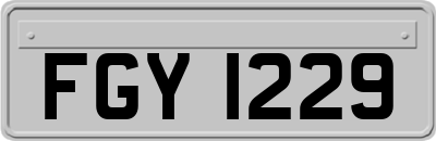 FGY1229