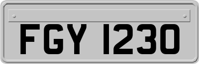 FGY1230