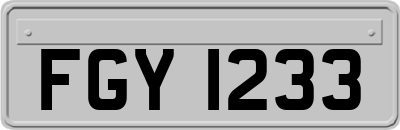 FGY1233