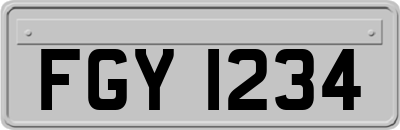 FGY1234