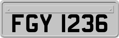 FGY1236