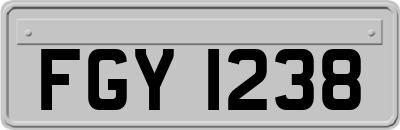 FGY1238