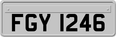 FGY1246
