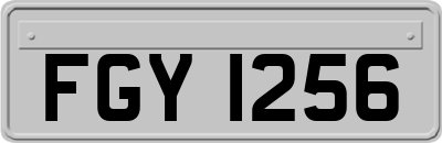 FGY1256