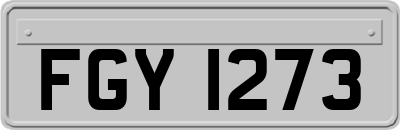 FGY1273