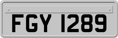 FGY1289