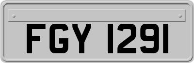 FGY1291