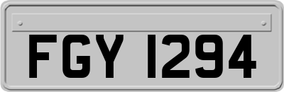 FGY1294