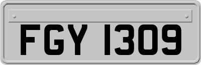 FGY1309