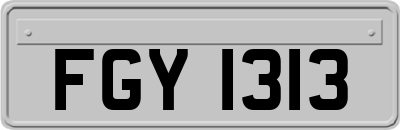 FGY1313