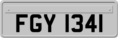 FGY1341