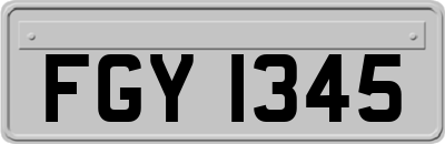 FGY1345